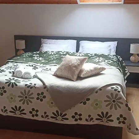Nyirfa Apartmanhaz זלקרוס