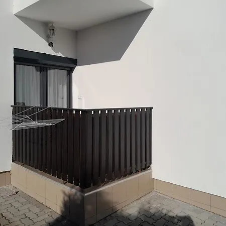 Nyírfa *