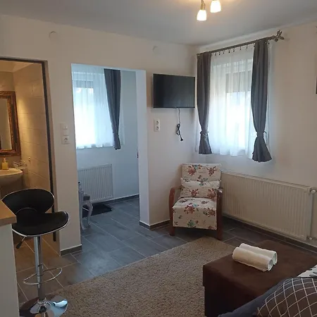 Nyirfa Apartmanhaz Διαμέρισμα Zalakaros