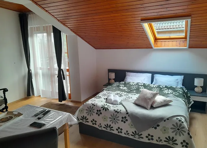 Nyirfa Apartmanhaz 公寓 佐洛卡罗斯