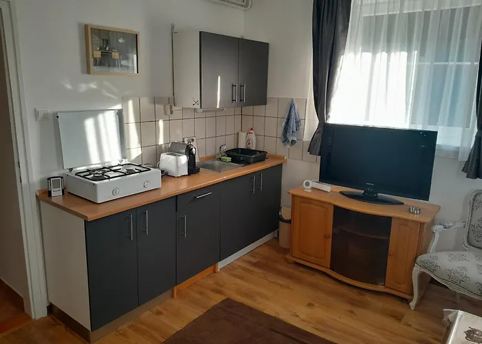 Nyirfa Apartmanhaz 公寓 佐洛卡罗斯