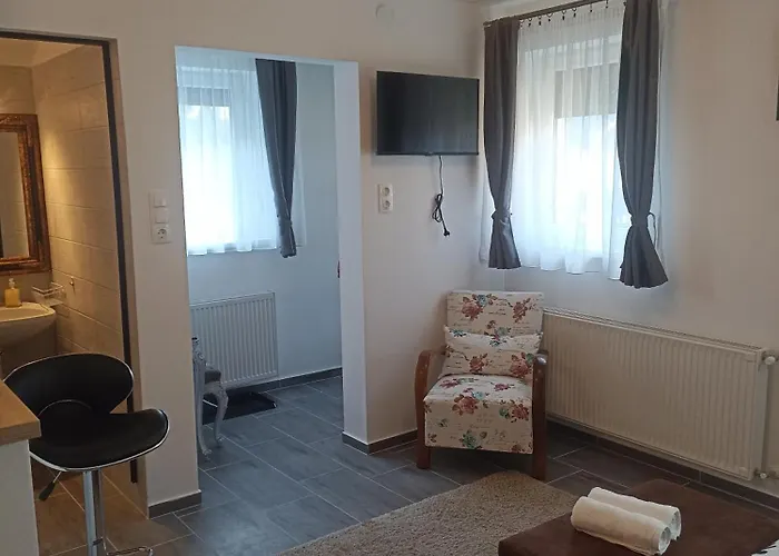 Nyirfa Apartmanhaz Апартаменты Залакарош