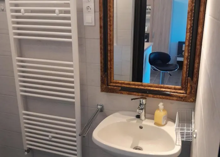 Nyirfa Apartmanhaz Апартаменты Залакарош